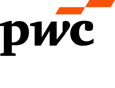 Consulting EMEA COO
