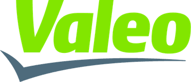 Consulting EMEA COO