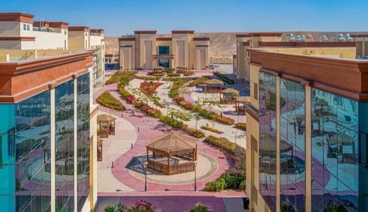 Assiut & Upper Egypt Tech Hubs
